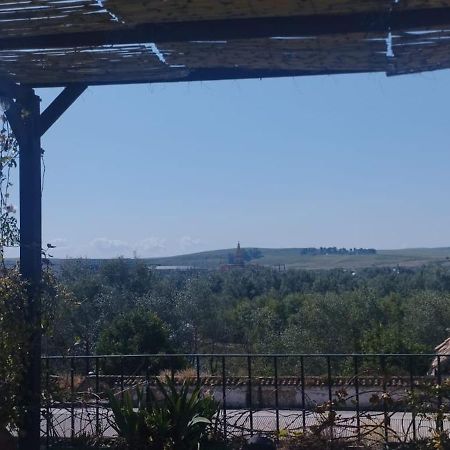 My Small Penthouse With Views.Tourism & Tranquility & Sun Lägenhet Córdoba Exteriör bild